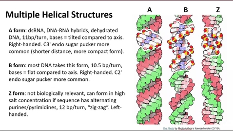Thumbnail for DNA Slides