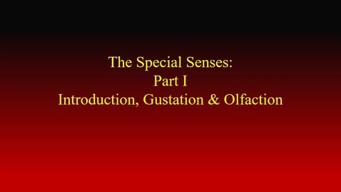 Thumbnail for entry Special senses I (Gustation &amp; Olfaction) movie