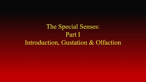 Thumbnail for Special senses I (Gustation &amp; Olfaction) movie