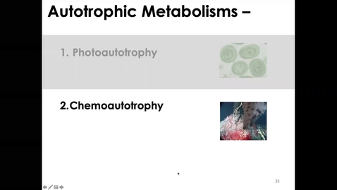 Thumbnail for MICR3154_10-21_Chemoautotrophy_Twing