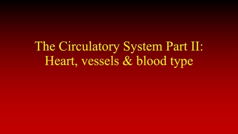 Thumbnail for entry The Circulatory System Part II (lecture)
