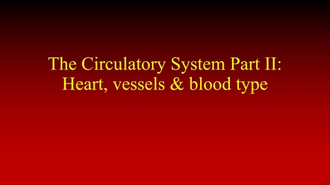 Thumbnail for The Circulatory System Part II (lecture)