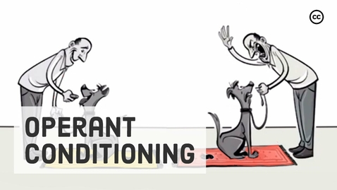 Thumbnail for Skinner’s Operant Conditioning: Rewards &amp; Punishments