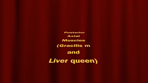 Thumbnail for Posterior Axial Muscles - Paul