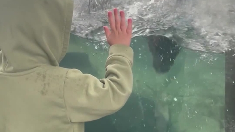 Thumbnail for Gratitude Video