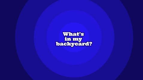 Thumbnail for whats in my backyard