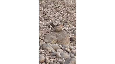 Thumbnail for Gratitude Video