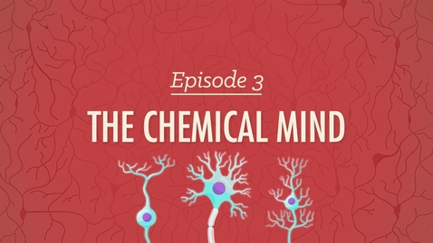 Thumbnail for entry The Chemical Mind: Crash Course Psychology #3 - Learning Activity