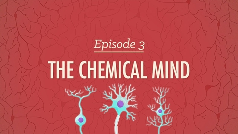 Thumbnail for The Chemical Mind: Crash Course Psychology #3 - Learning Activity