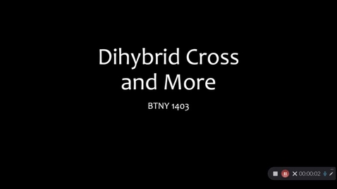 Thumbnail for entry Dihybrid cross