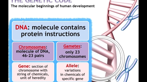 Thumbnail for DNA Clarification