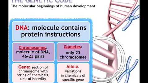 Thumbnail for entry DNA Clarification