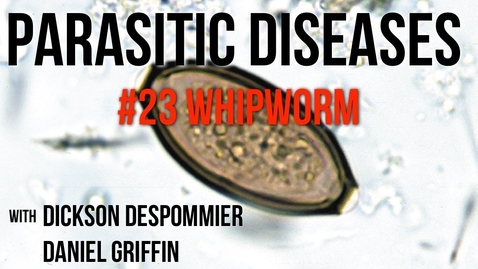 Thumbnail for entry Parasitic Diseases Lectures #23: Whipworm - Quiz