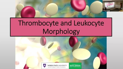 Thumbnail for 4 Thrombocyte and Leukocyte Morphology 2025