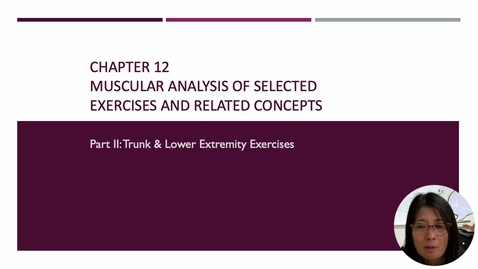 Thumbnail for Ch12 Muscular Analysis Trunk &amp; LE