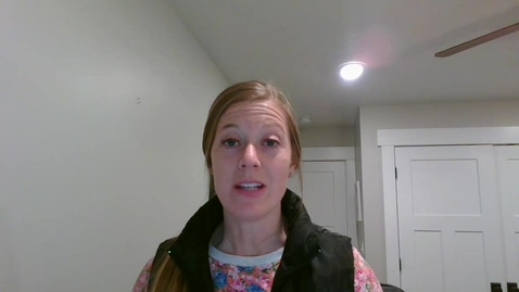 Thumbnail for Video Recording - Fri Feb 03 2023 21:19:40 GMT-0700 (Mountain Standard Time)