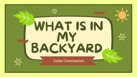 Thumbnail for What is in my Backyard