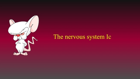 Thumbnail for entry Nervous system Ic