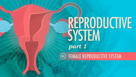 Thumbnail for entry HTHS 2230 Reproductive: Female Reproductive System: Crash Course Video with Questions