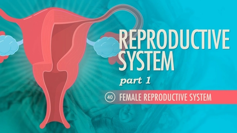 Thumbnail for HTHS 2230 Reproductive: Female Reproductive System: Crash Course Video with Questions
