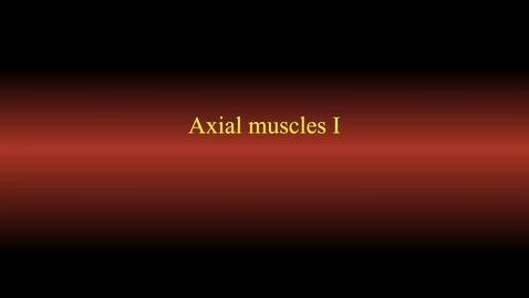 Thumbnail for entry Muscle actions (axis)