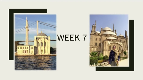 Thumbnail for Module 6: Social Change