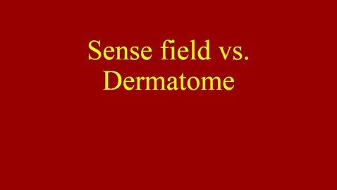 Thumbnail for entry Dermatome vs sense field movie