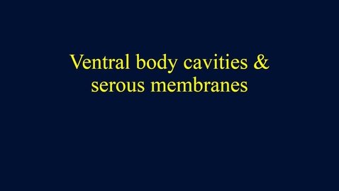Thumbnail for entry Ventral body cavities &amp; serous membranes movie