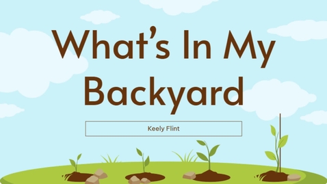 Thumbnail for What's In My Backyard (1)