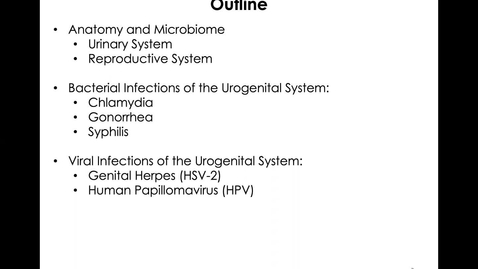 Thumbnail for entry MICR3154_11-17_UrogenitalSystem_Twing