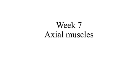 Thumbnail for Week 7 Axial m (movie)