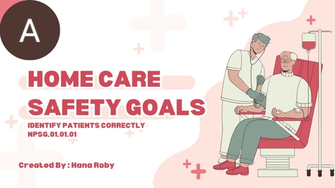 Thumbnail for safety goal