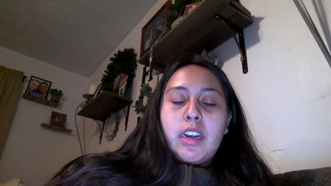 Thumbnail for Video Recording - Tue Feb 11 2025 21:45:34 GMT-0700 (Mountain Standard Time)