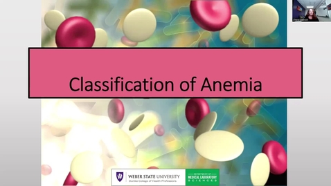 Thumbnail for entry Classification of Anemias