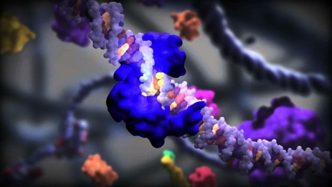 Thumbnail for entry F06-03d: Transcription Factors Video with Questions