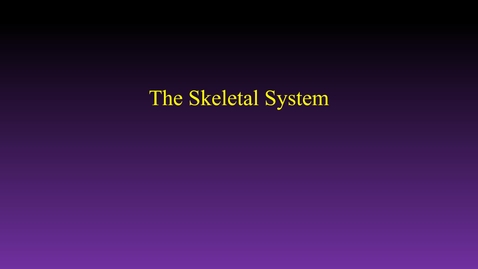 Thumbnail for entry Skeletal system (hybrid movie)
