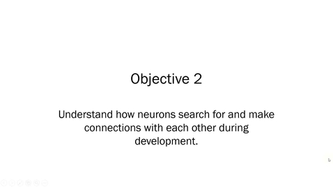 Thumbnail for Objective 2.mp4