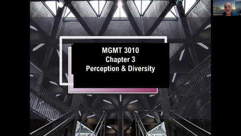 Thumbnail for MGMT 3010 CH 3 Lecture