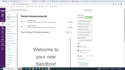 Thumbnail for eReserve_Canvas_InstructionVideo_Andrew Stapley January 23rd 2024, 1:04:56 pm