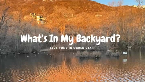 Thumbnail for real beus pond