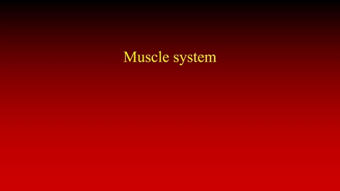 Thumbnail for entry Muscle system (lecture)