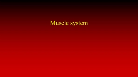 Thumbnail for Muscle system (lecture)