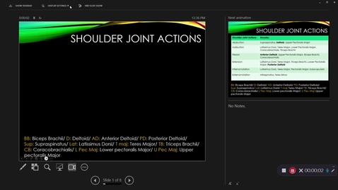Thumbnail for Shoulder muscle circle