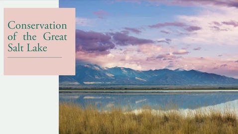 Thumbnail for Conserving the Great Salt Lake Lesson