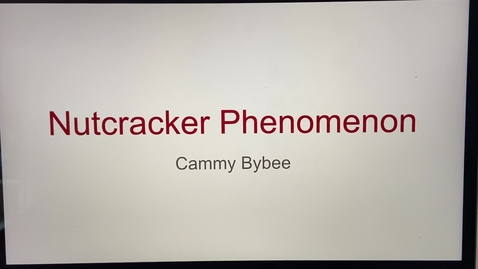 Thumbnail for Cammy Bybee Case Study 2