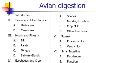 Thumbnail for Lecture 9.  Feeding Flight: How evolution shaped avian digestive systems