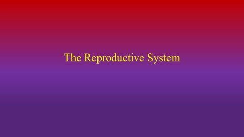 Thumbnail for entry Reproductive System (2100H)