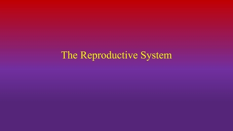 Thumbnail for Reproductive System (2100H)