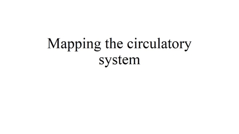 Thumbnail for entry Mapping the circulatory system