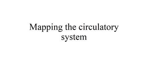 Thumbnail for Mapping the circulatory system